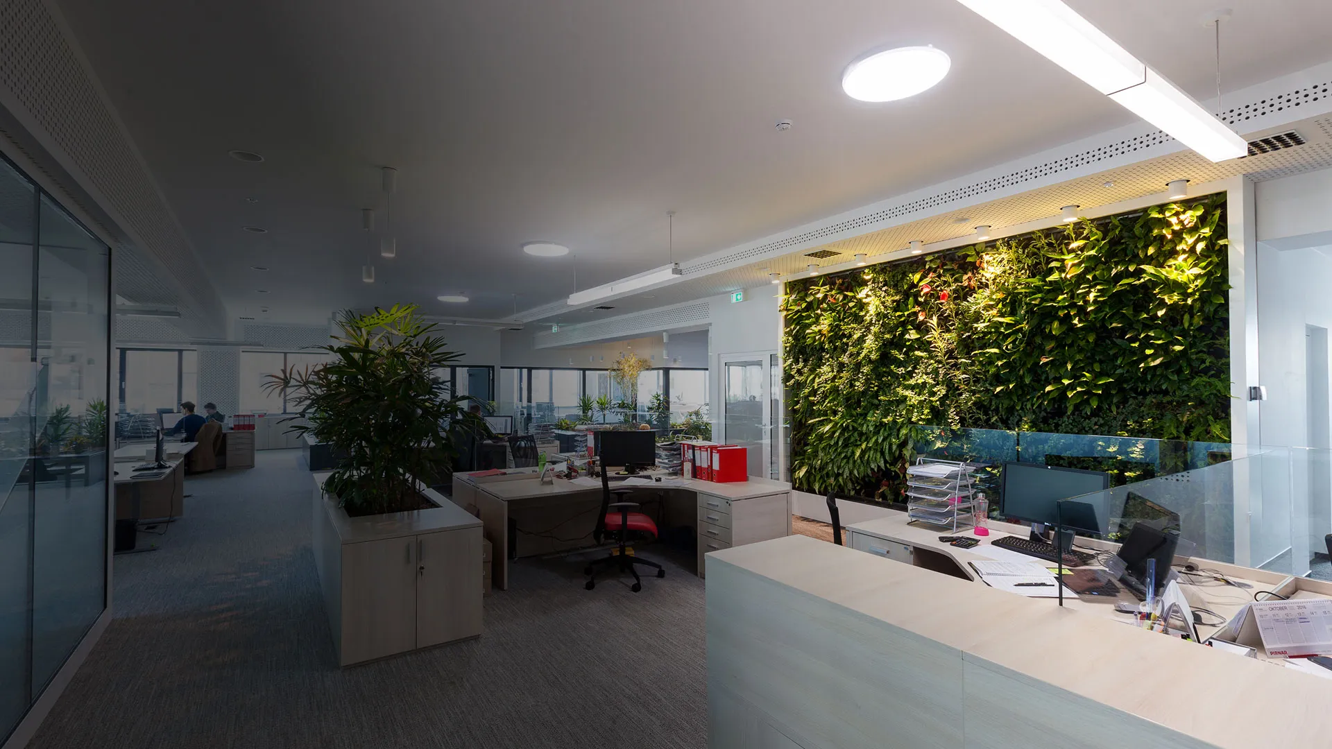 Kariera pri Pirnarju