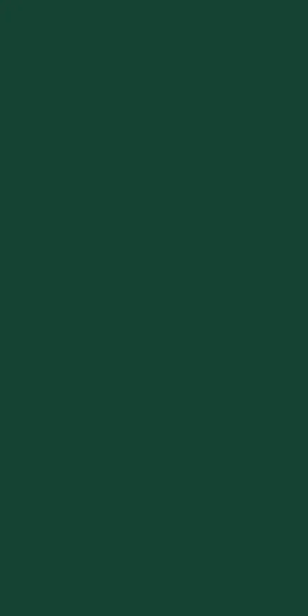  RAL 6005 matt 