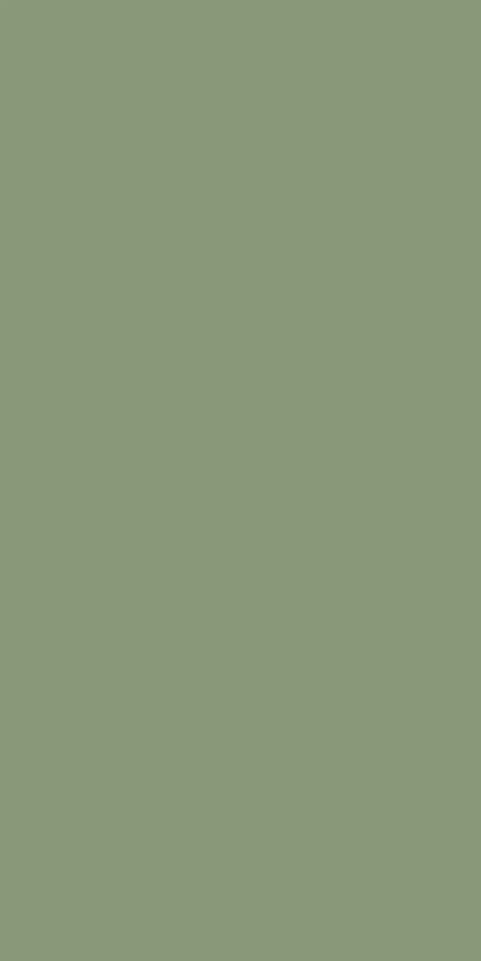 RAL 6021 matt