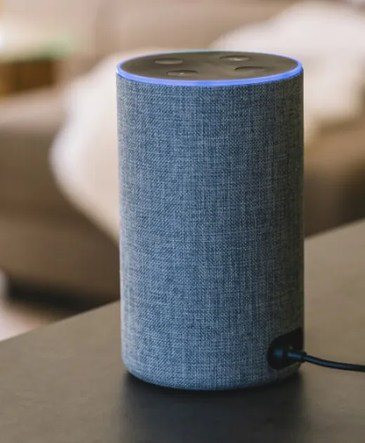 Smart voice assistant for controlling your Pirnar doors