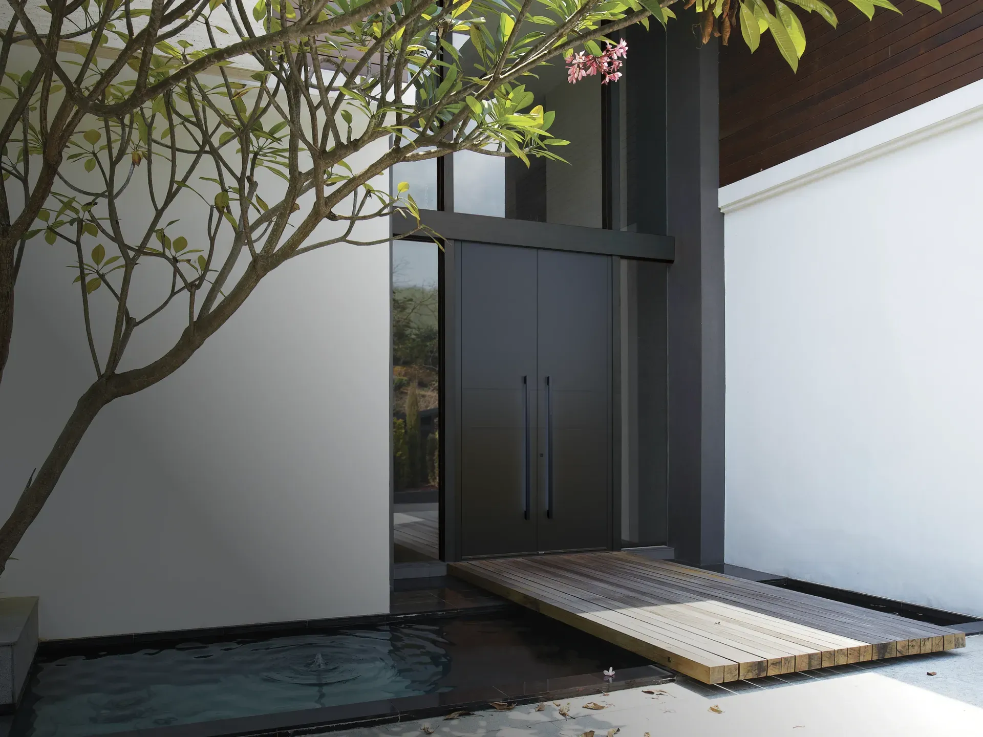 Anthracite front doors