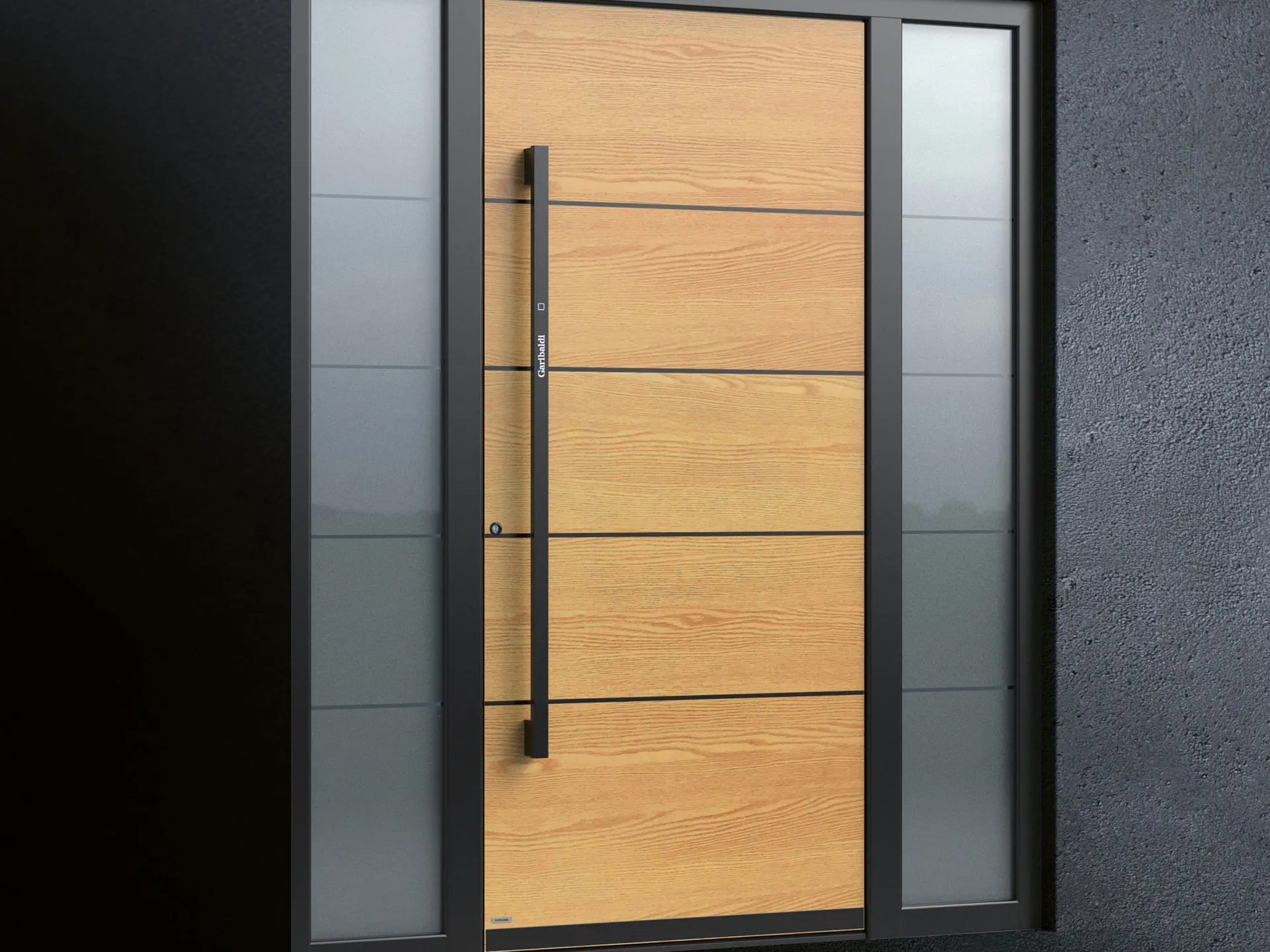 Črni detajli vhodnih vrat