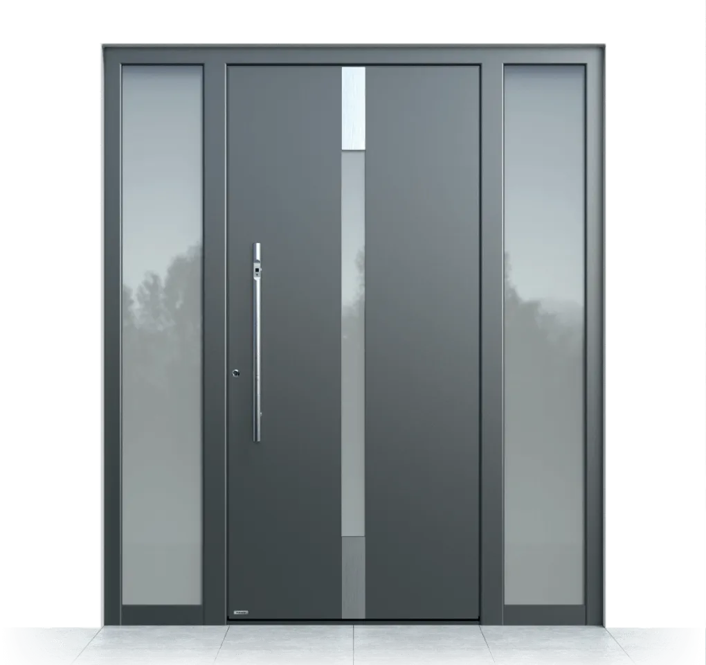 DB 703 Türen von Pirnar