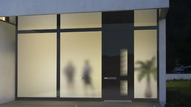 Double-leaf doors glass elements