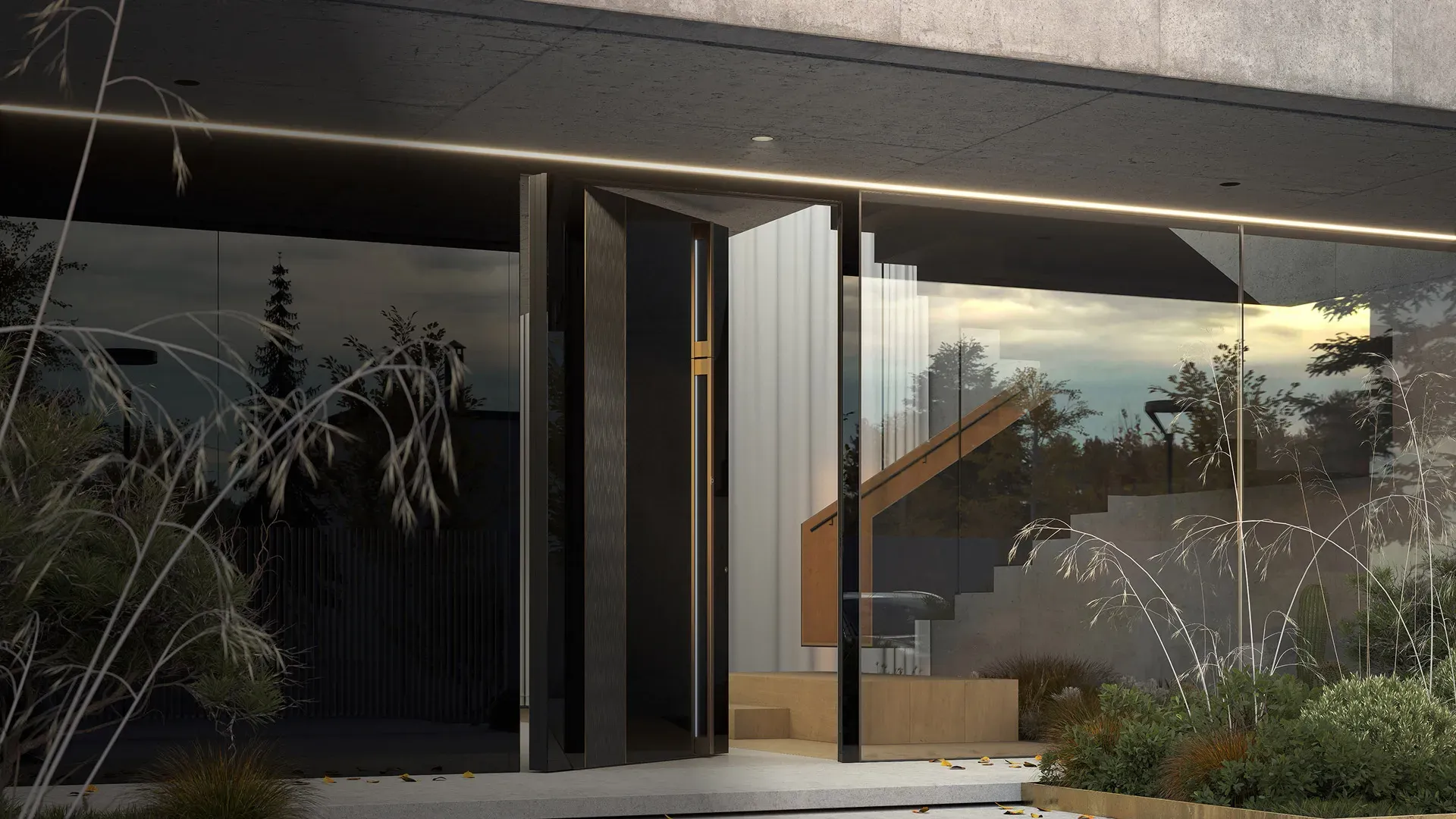 Eingangstür 100x200 cm