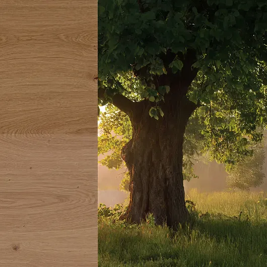 Exterior oak doors