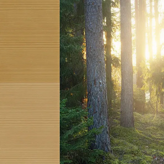 Exterior spruce doors