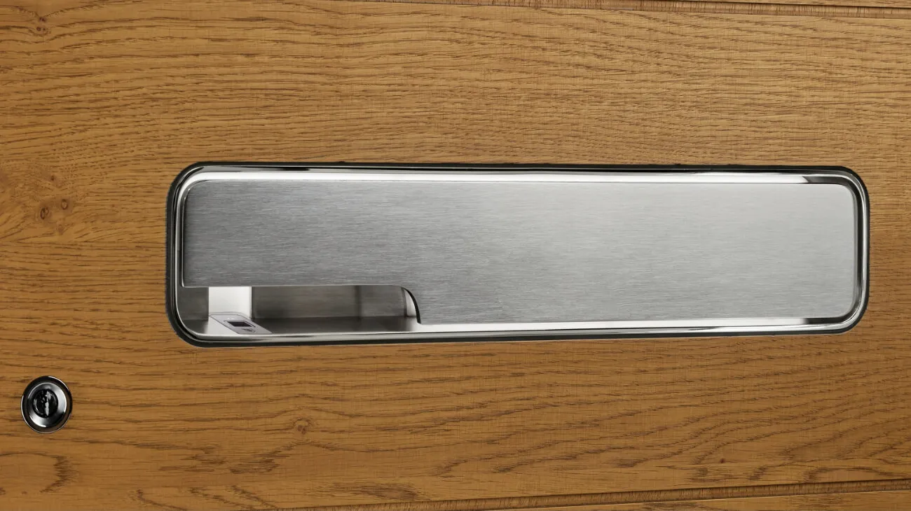 Hidden door handle with fingerprint access