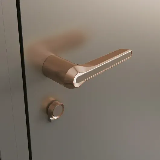 Haustuerbeschlag Brilianta