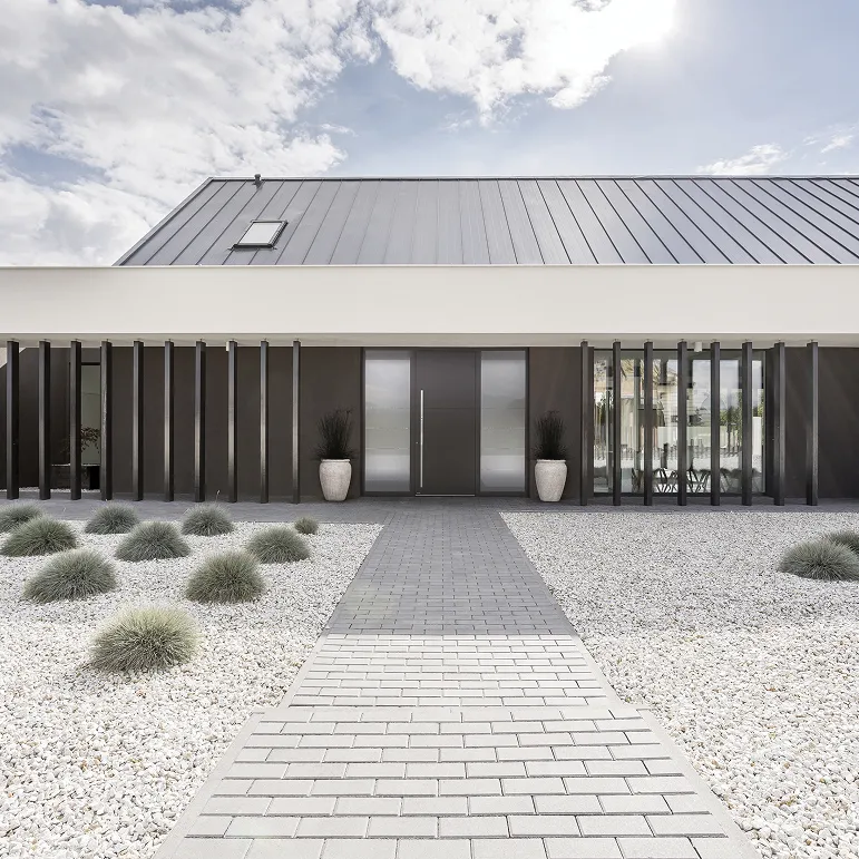 Haustür mit 2 Seitenteilen