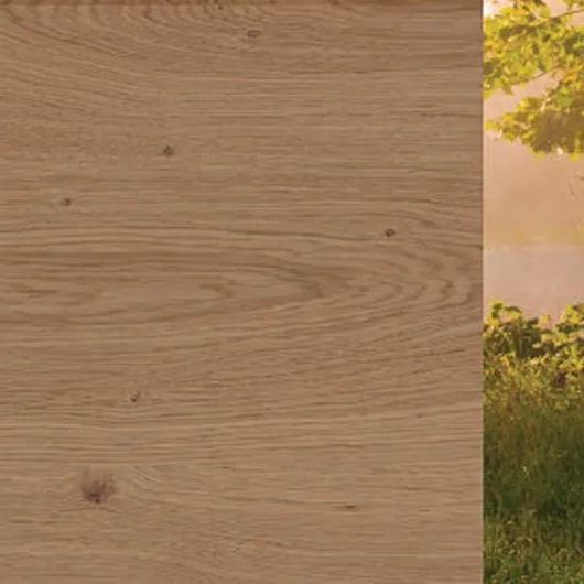 Natural-look oil coatings