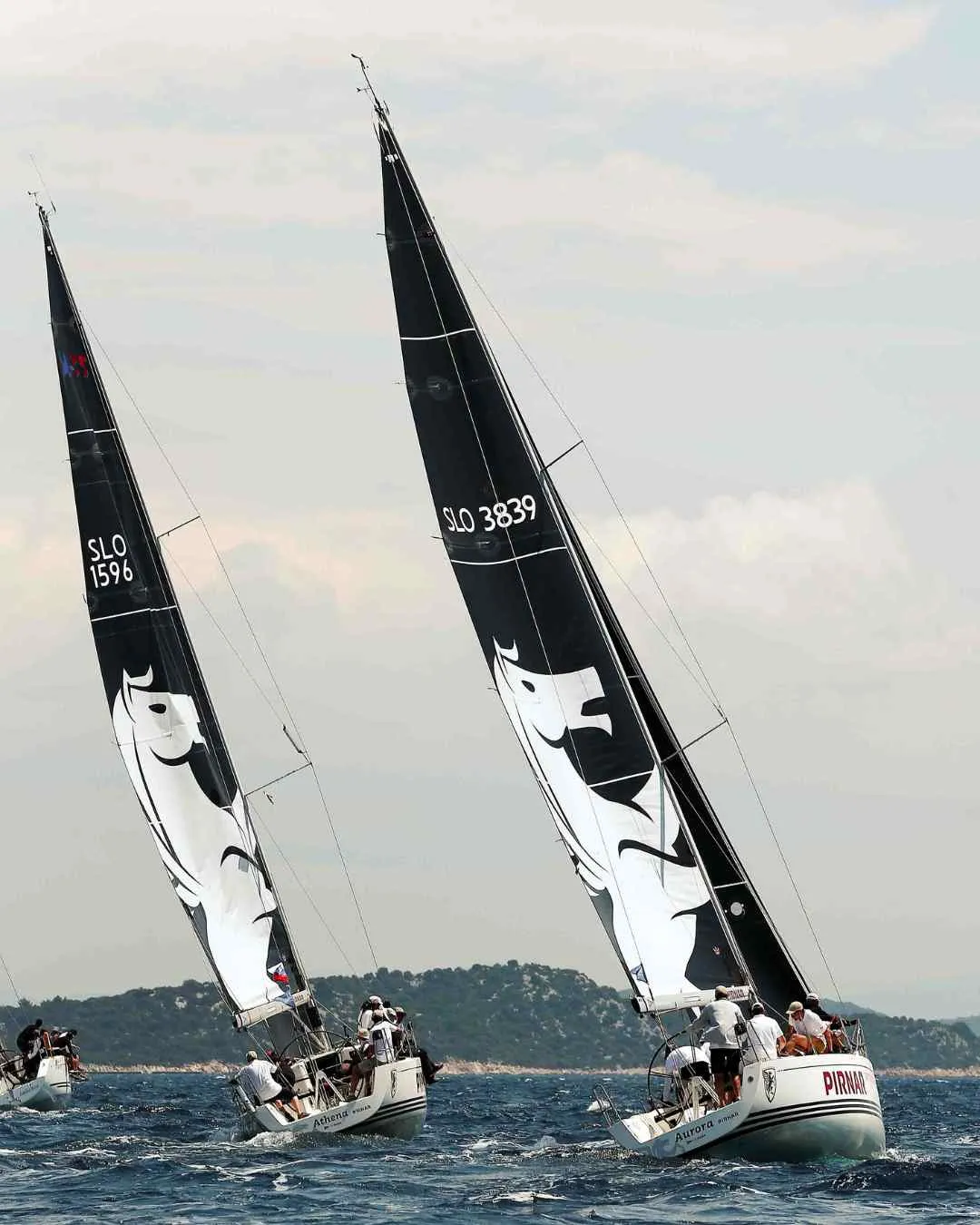 Pirnar jadrnice NASA Notrh Adriatic Sailing Academy