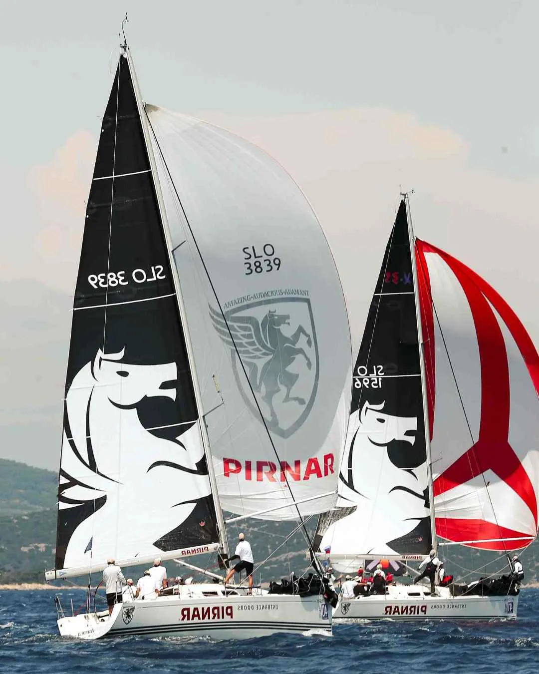 Pirnar jadrnice NASA Notrh Adriatic Sailing Academy
