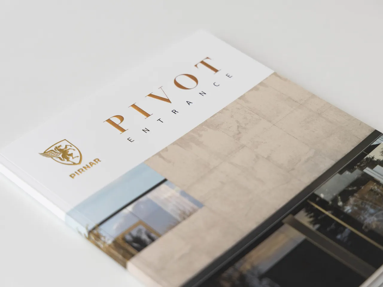 Pivot door catalogue