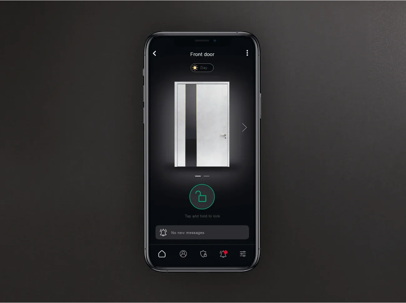 Securosmart für Pivot- oder Drehtüren