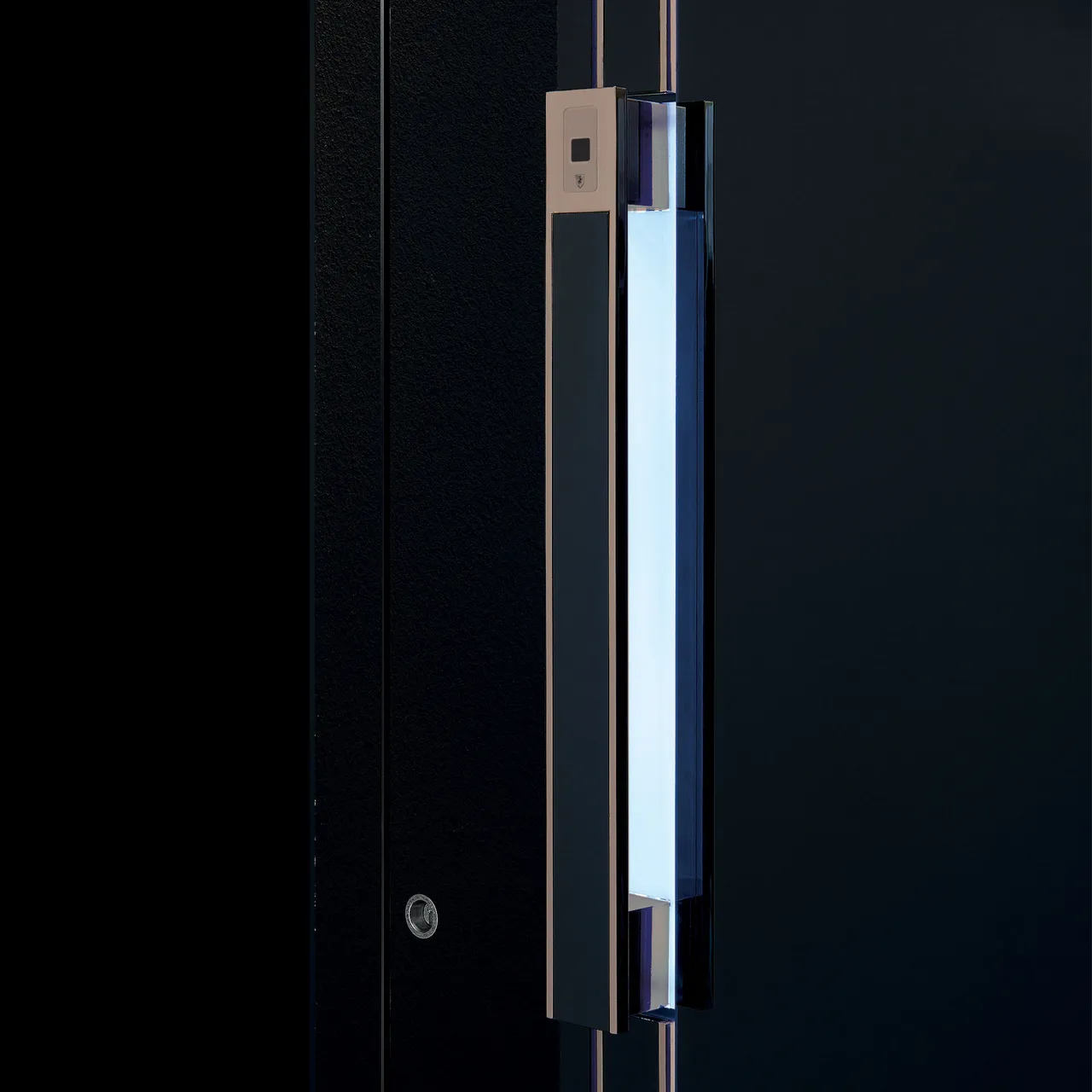 Example of PVD Door Finishes