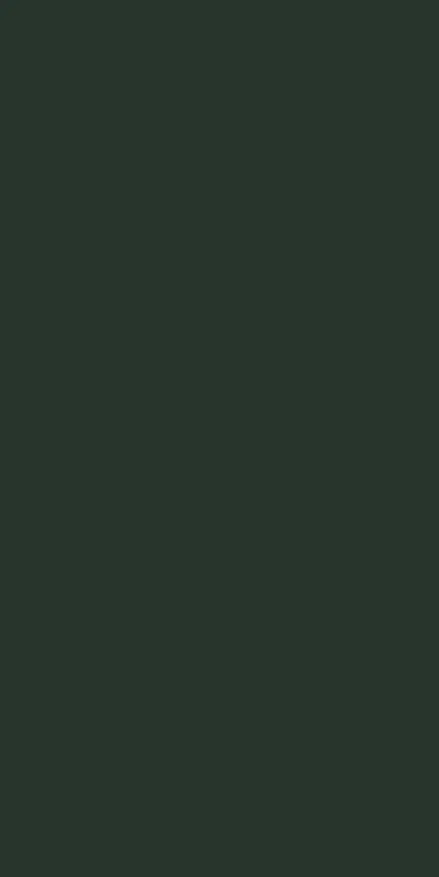  RAL 6009 matt 