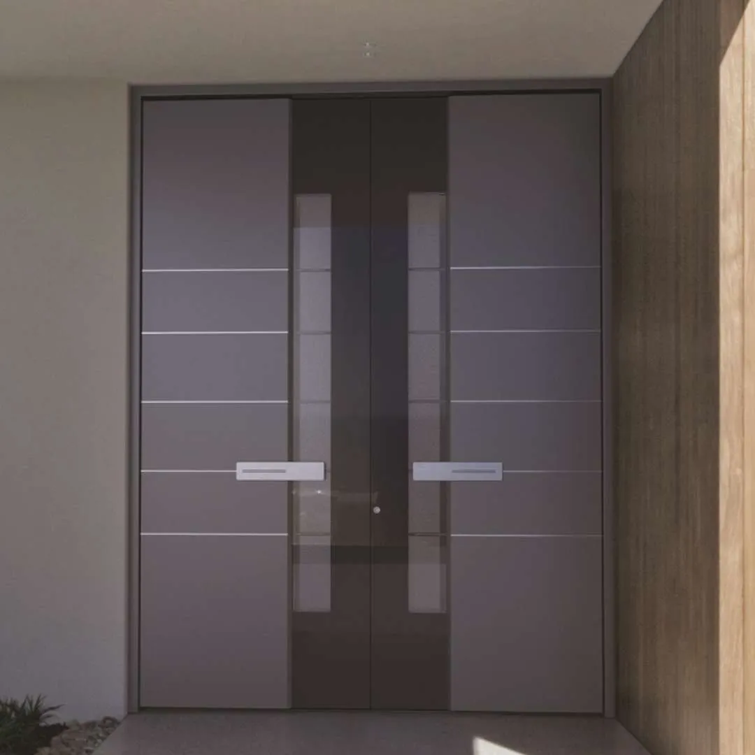 Grosse eingangstüren in grau