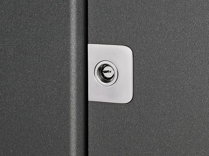 Simple standard cylinder protection