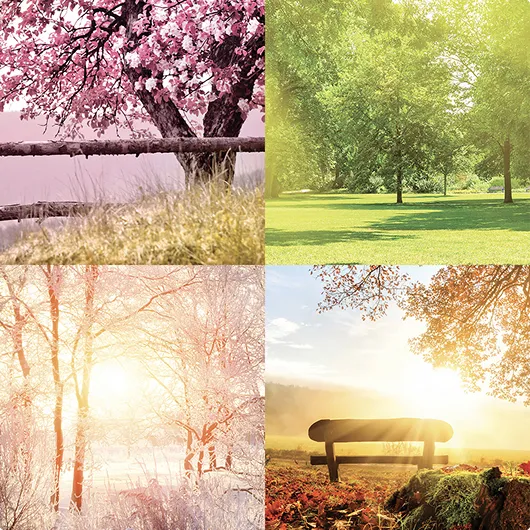 Widerstandsfähigste Pergola