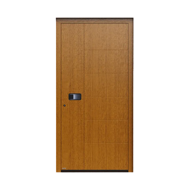 Pirnar lesena vrata 1641