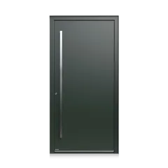 Sličica za sliko 1